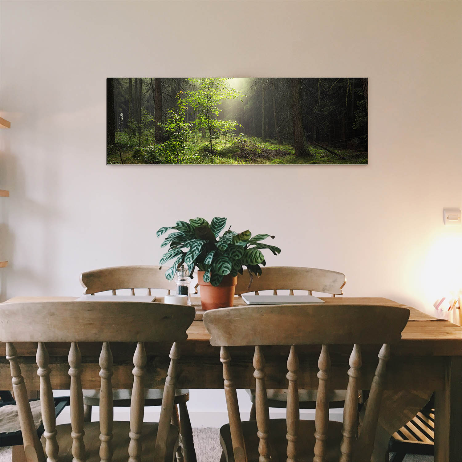 Wald & Bäume Lichtung als Alu-Dibond Bild 120x60cm