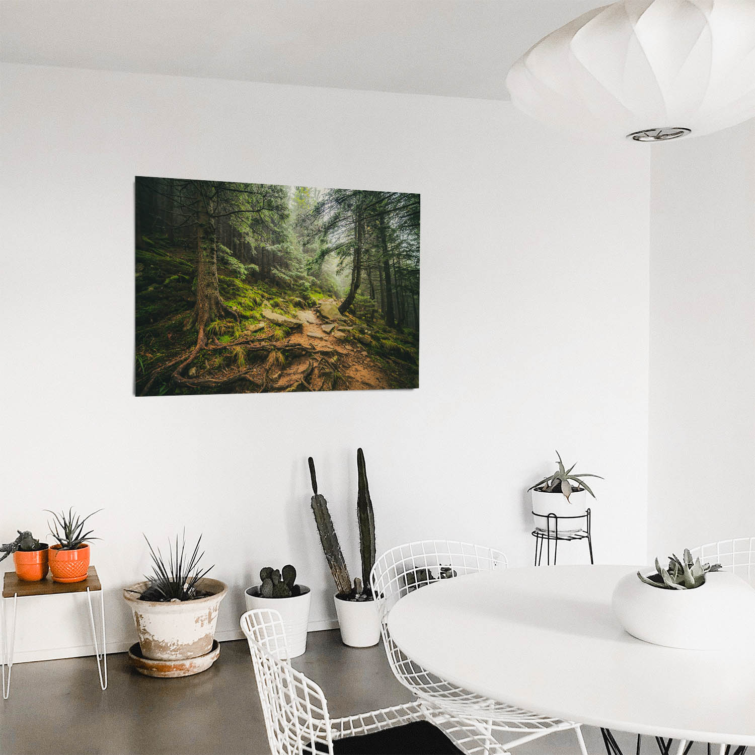 Poster 50x50cm Steinig Wald & Bäume