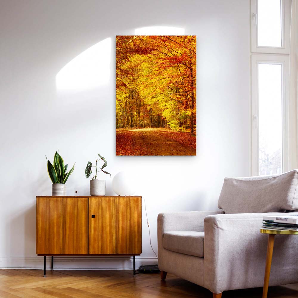 Poster 50x50cm Goldener Waldweg Wald & Bäume
