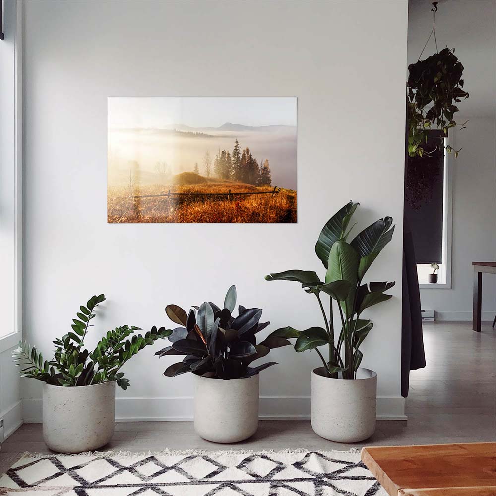 WandPoster Wald & Bäume Herbst in den Karbaten, 50x50cm