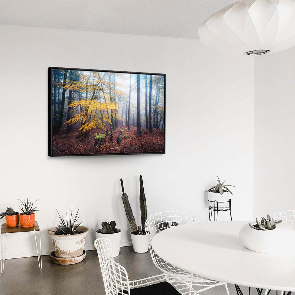 Wald & Nebel Herbst im Pfläzerwald  im schwarzen Bilderrahmen, 180x90cm