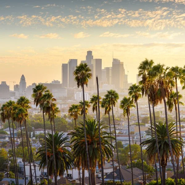 WandPoster Skyline Los Angeles Palmen, 50x50cm