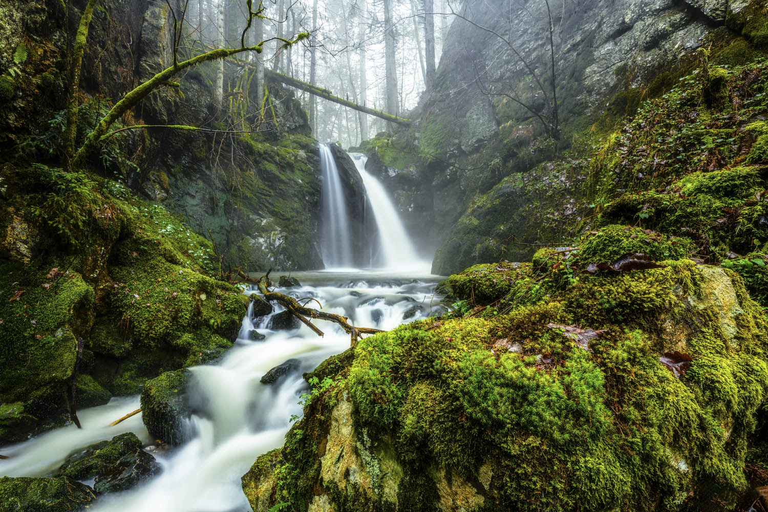 großes Poster Wald & Bäume Wasserfall im Schwarzwald, 180x120cm