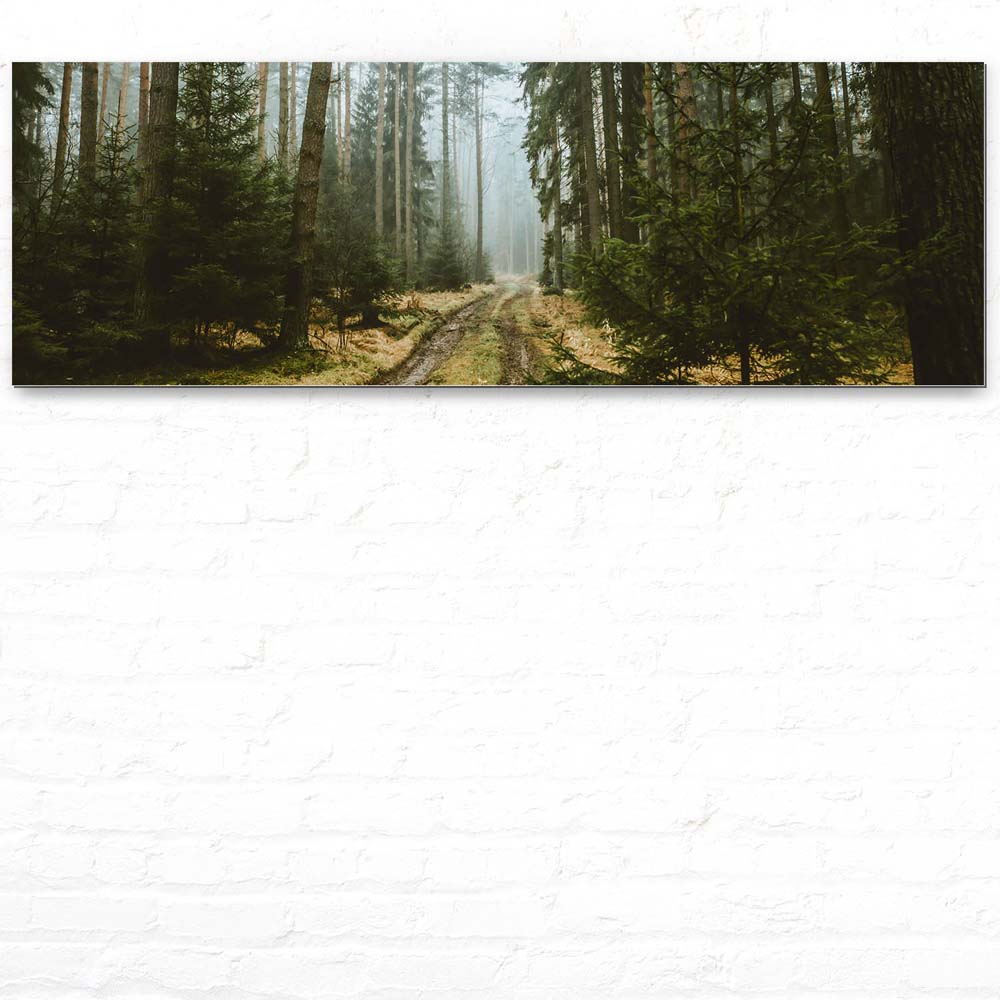 Alu-Dibond Bild 150x50cm groß Wald Spaziergang