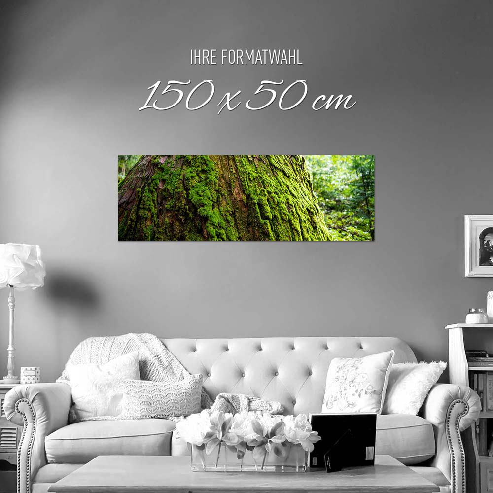 Panorama Poster 150x50cm, Wald & Baum Moos