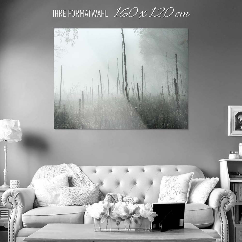 WandPoster Wald Bäume Sumpfgebiet, 160x120cm