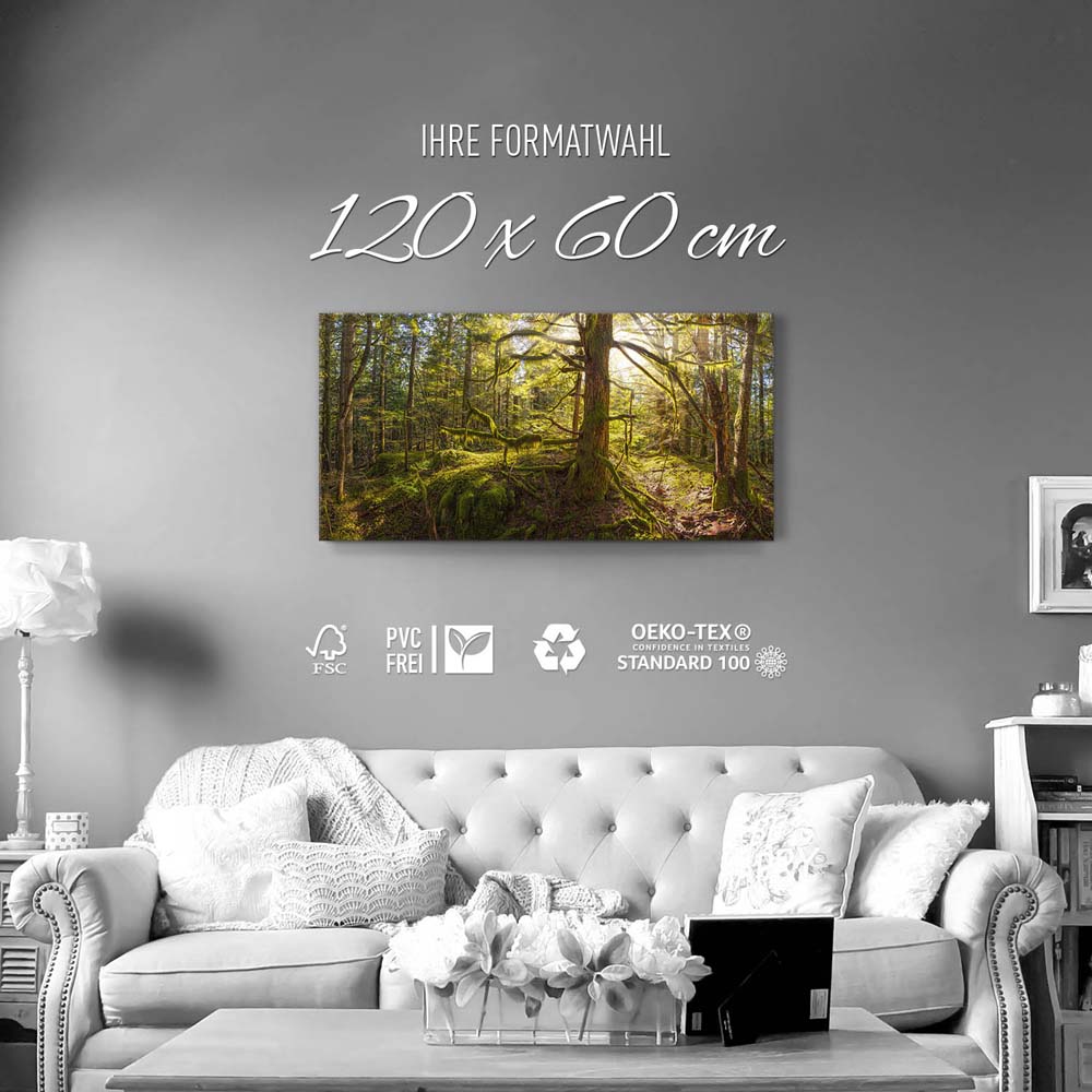 Leinwandbild 120x60cm Wald Baum, Sonnenhain
