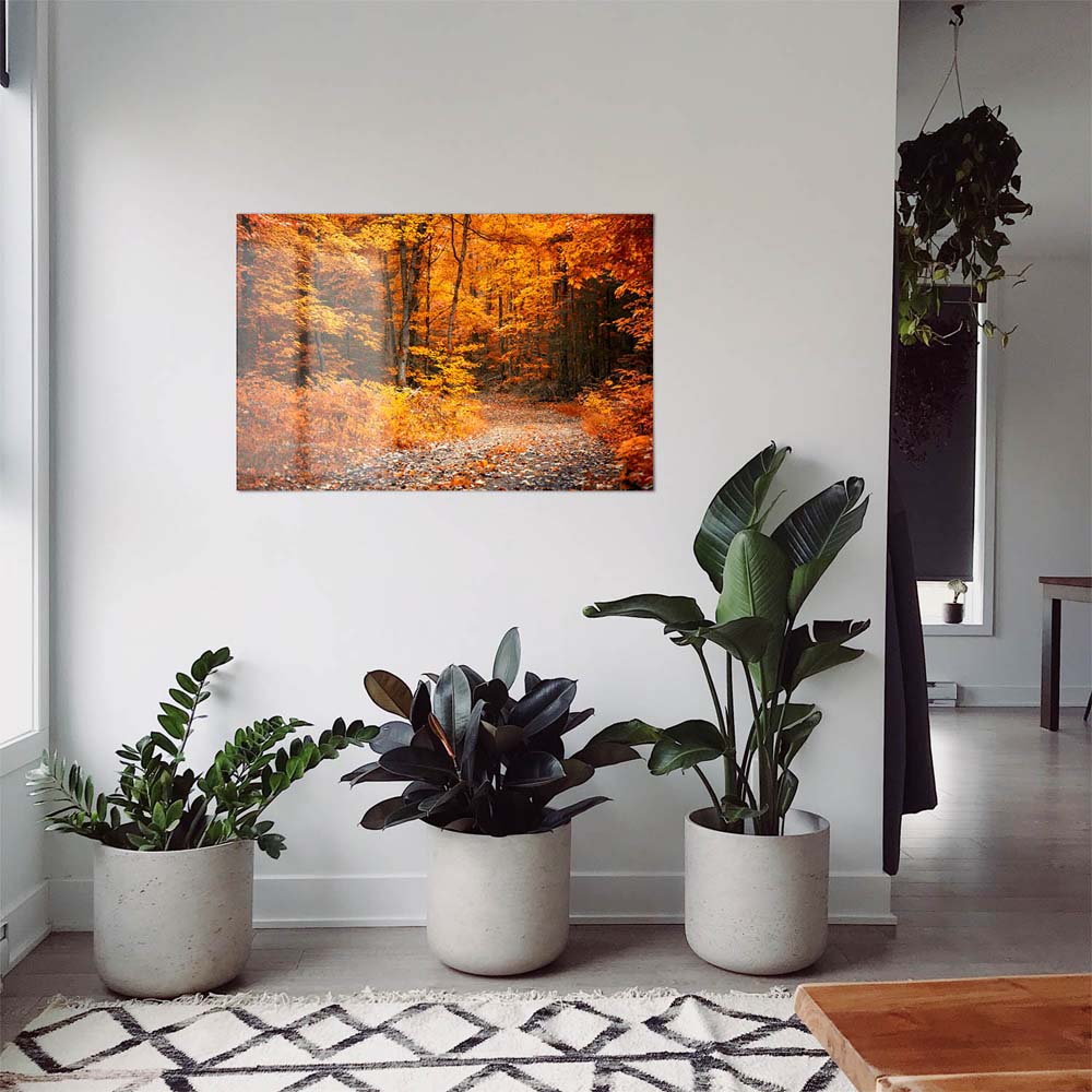Großformat WandPoster Wald & Bäume Herbst Wanderung II, 180x90cm