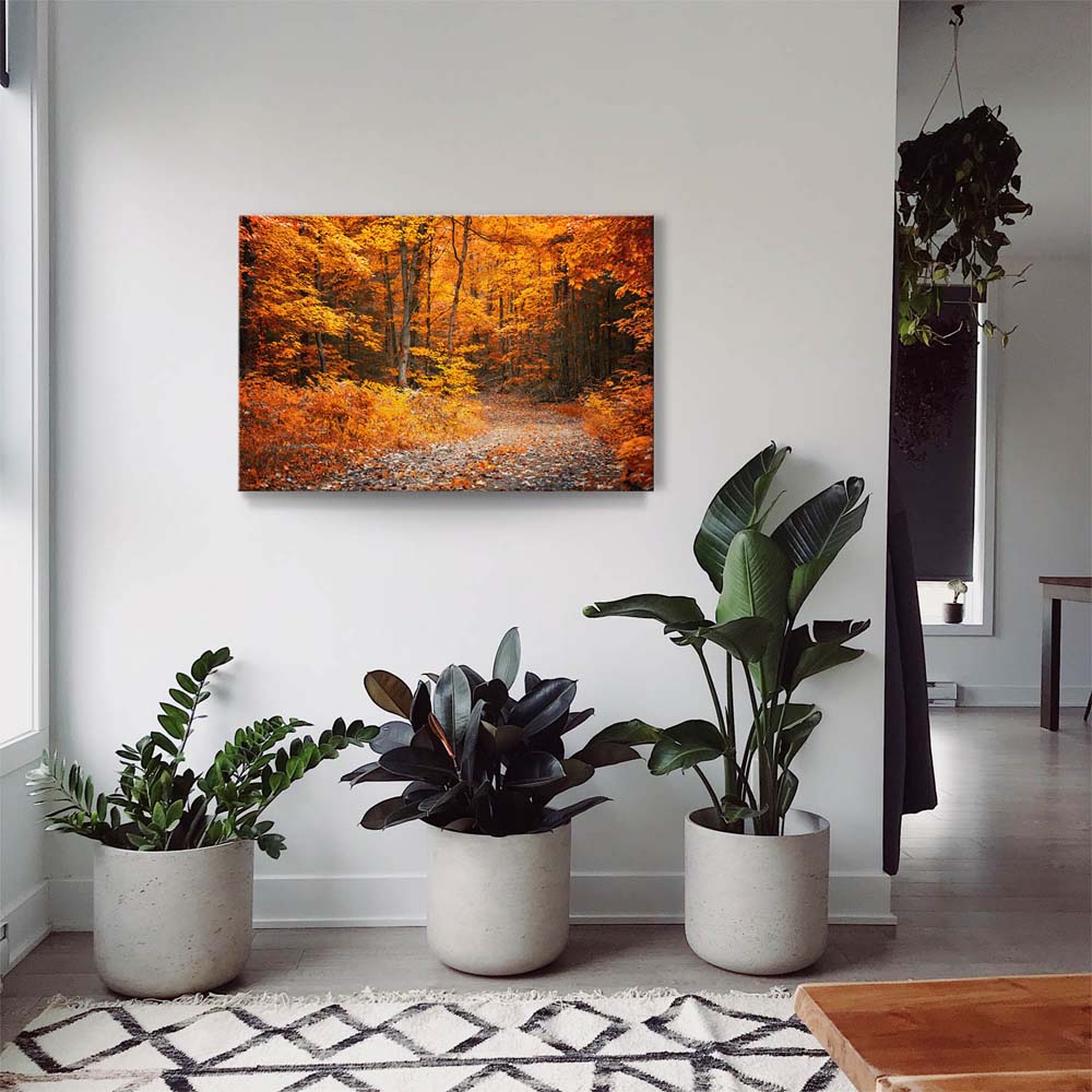 Wald & Bäume Herbst Wanderung II als Keilrahmenbild 180x90cm