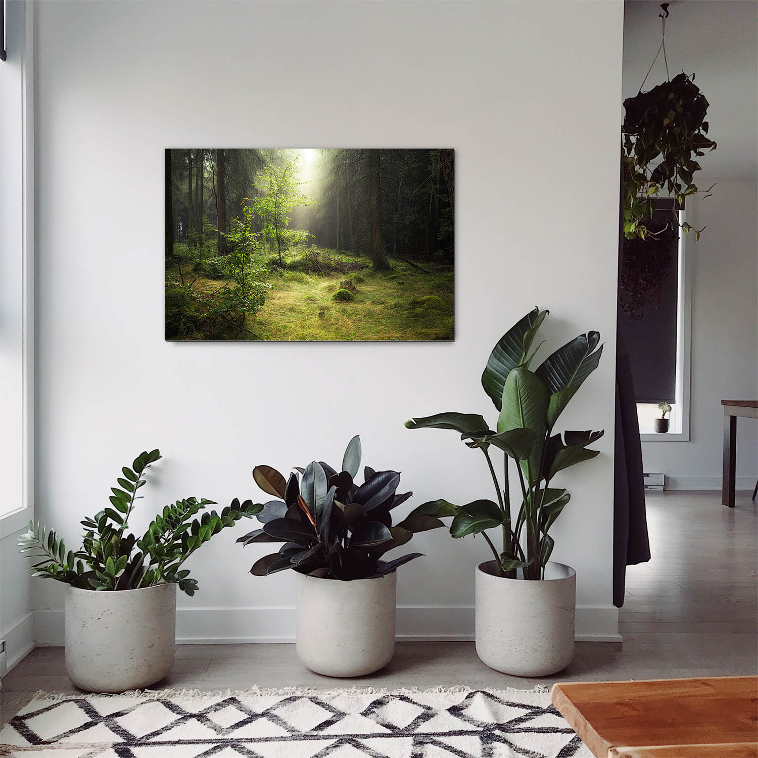 Wald & Bäume Lichtung als Alu-Dibond Bild 120x60cm