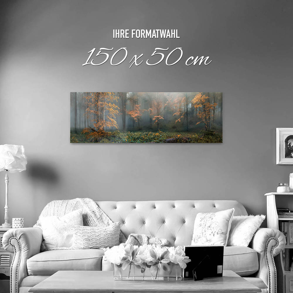 Acrylglasbild 150x50cm groß Wald Herbstidylle