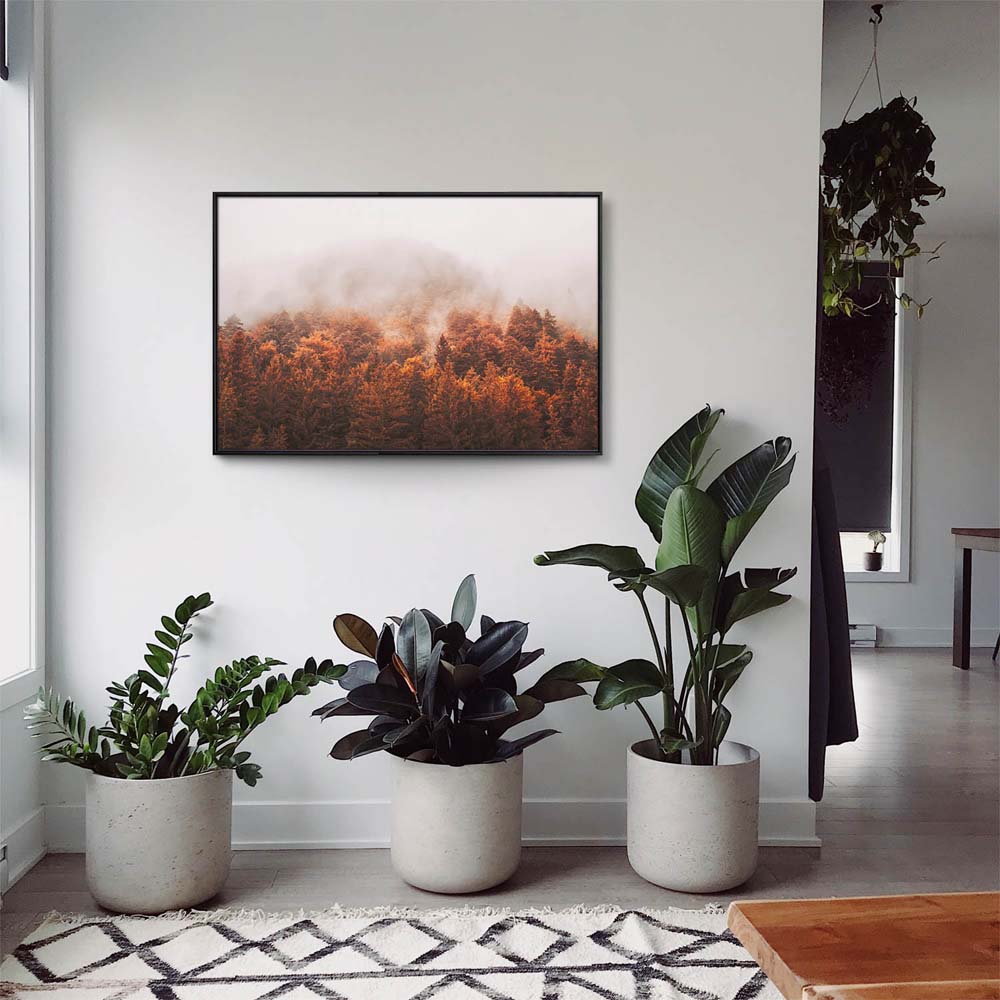 Wald & Bäume Herbst Nebelwald im schwarzen Bilderrahmen, 110x50cm