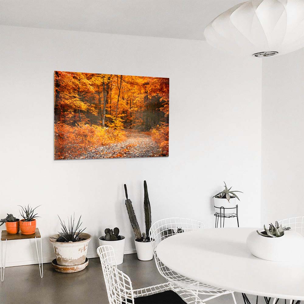 Acrylglasbild 150x50cm groß Wald & Bäume Herbst Wanderung II