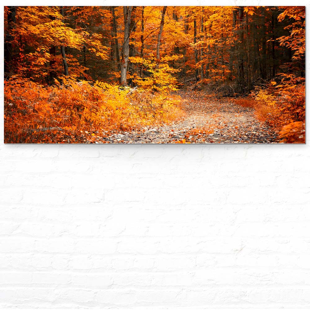 Wald & Bäume Herbst Wanderung II als Acrylglasverbund Bild 110x50cm