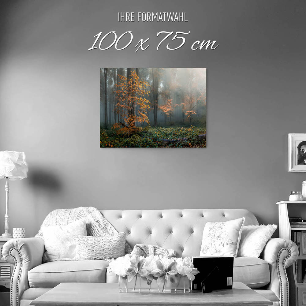 Alu-Dibond Bild Herbstidylle, Wald, 100x75cm groß