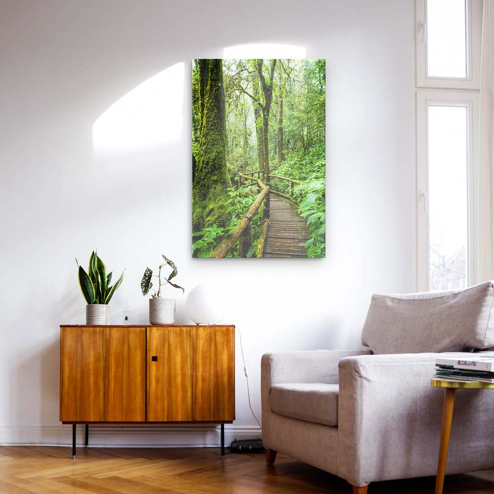 Panorama Acrylglasbild 180x90cm Regenwald Holzpfad