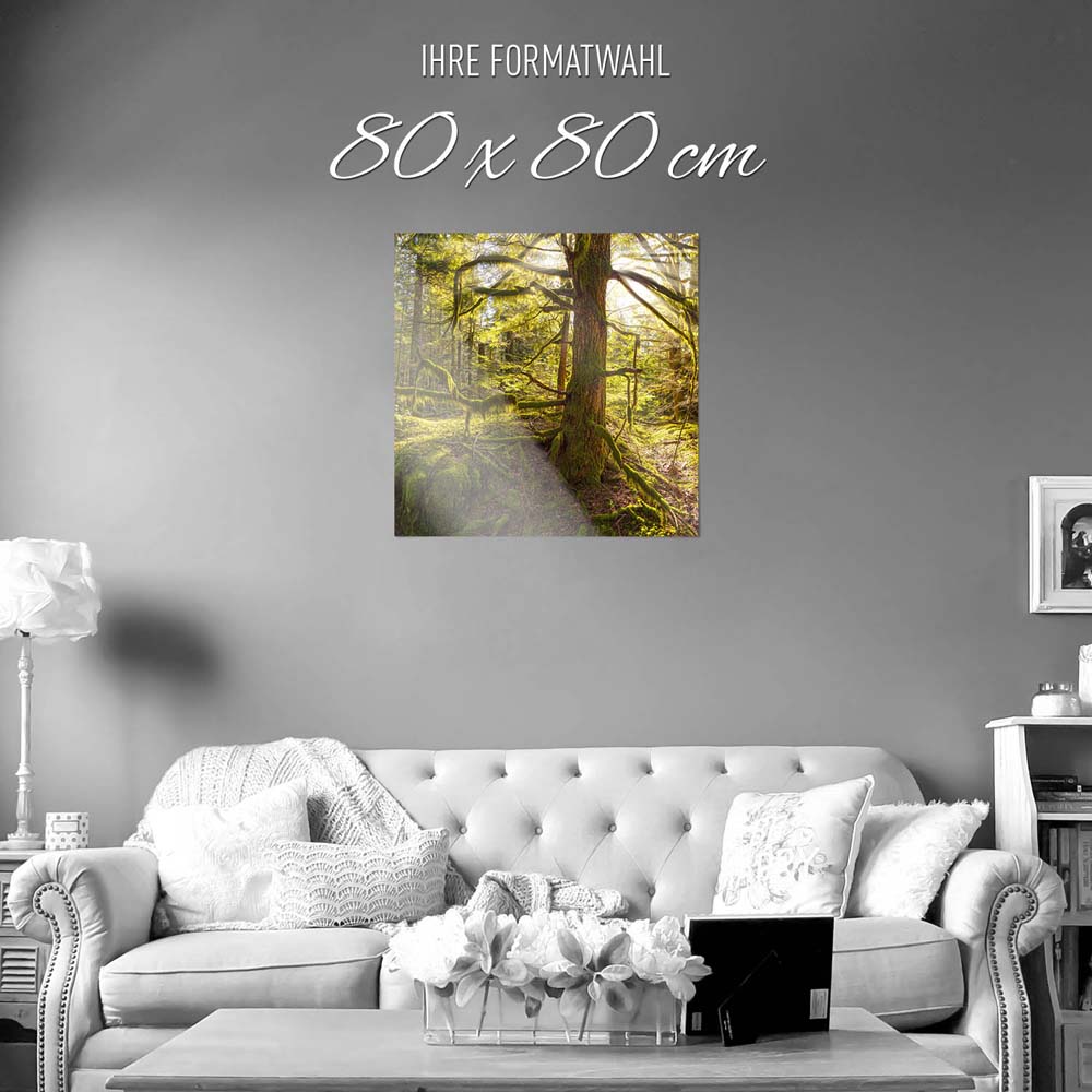 WandPoster Wald Baum Sonnenhain, 80x80cm