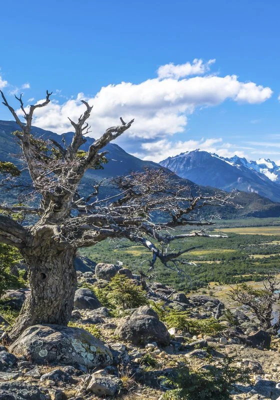 Poster Patagonien Flüsse Berge & Gebirge, 70x100cm groß