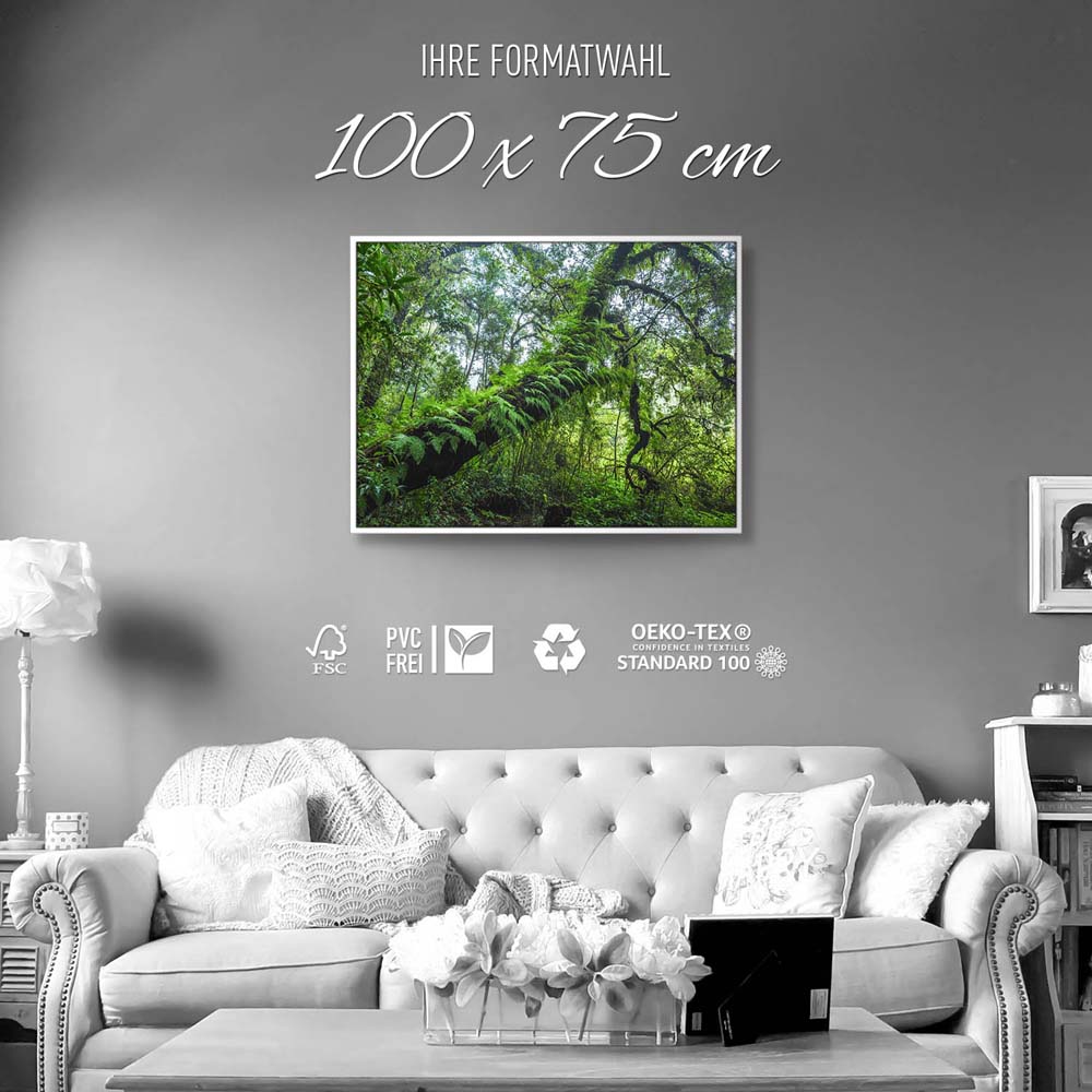 Wald & Bäume Farnimpression im weißen Bilderrahmen, 100x75cm