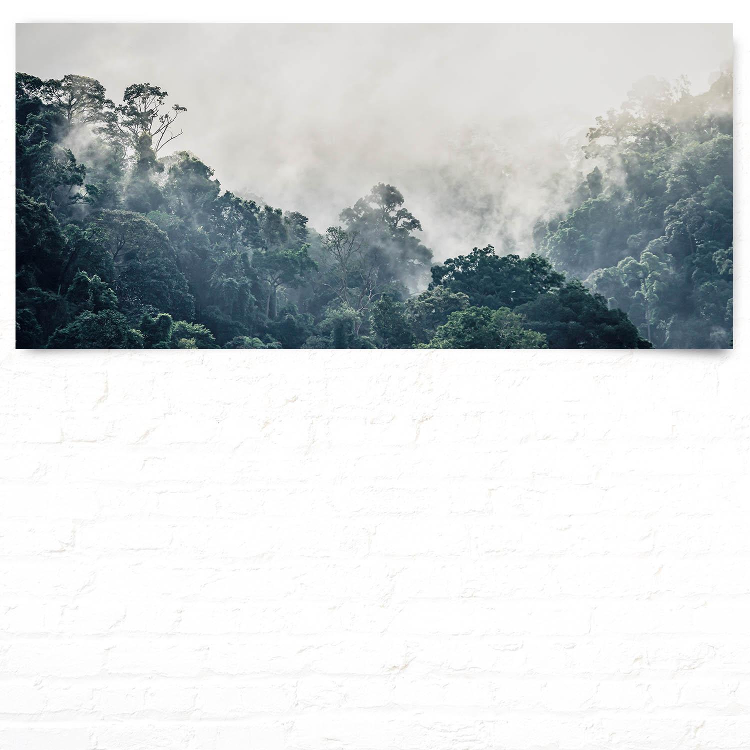 Dschungel weiter Ausblick als Poster 110x50cm