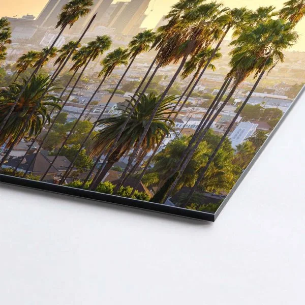 Skyline Los Angeles Palmen als Alu-Dibond Bild 50x50cm
