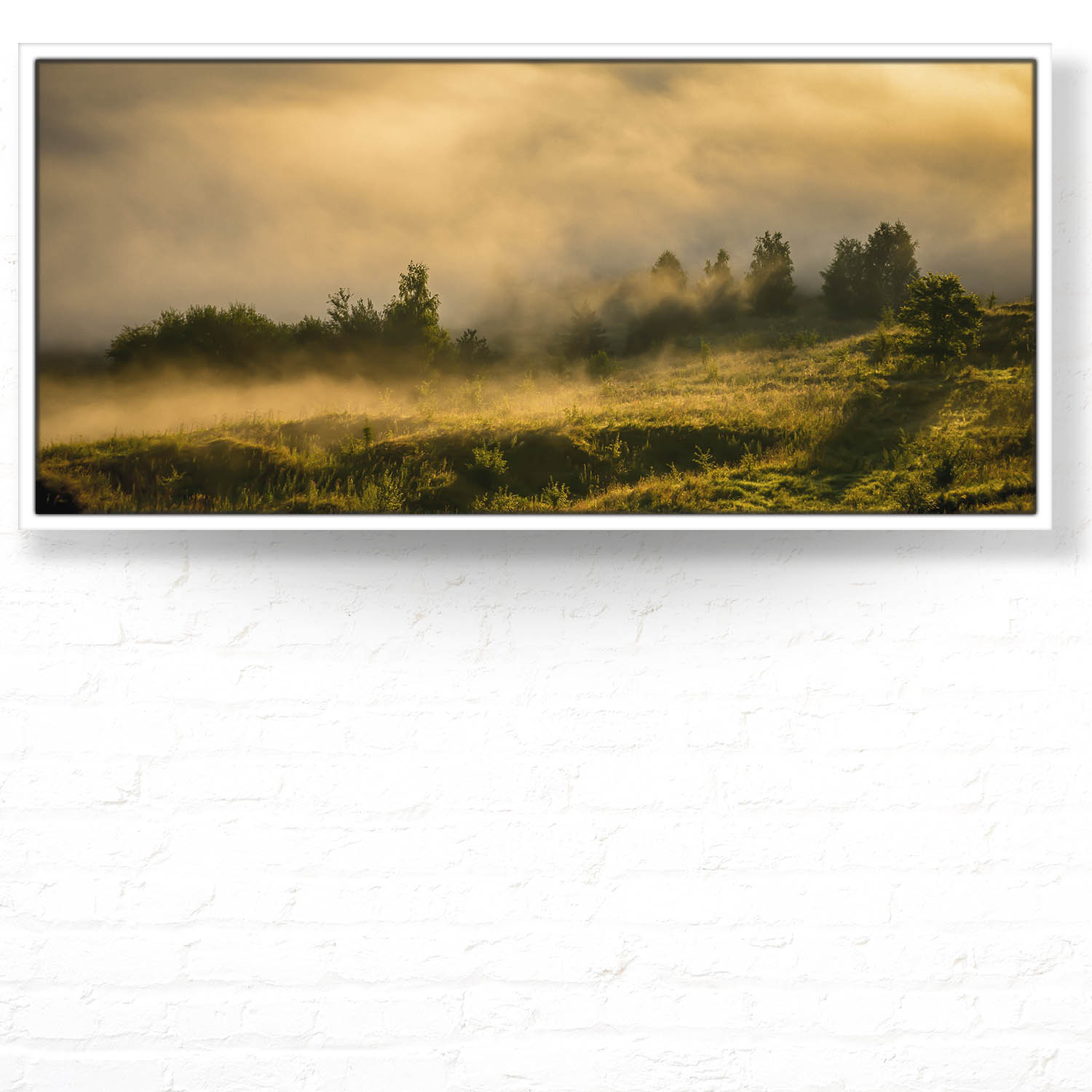 Wald Wiese Nebel am Morgen im weißen Bilderrahmen, 110x50cm