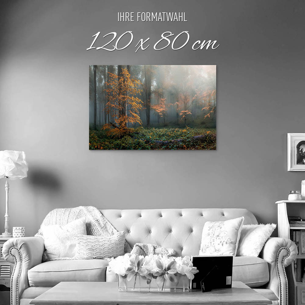 Wald Herbstidylle als Alu-Dibond Bild 120x80cm