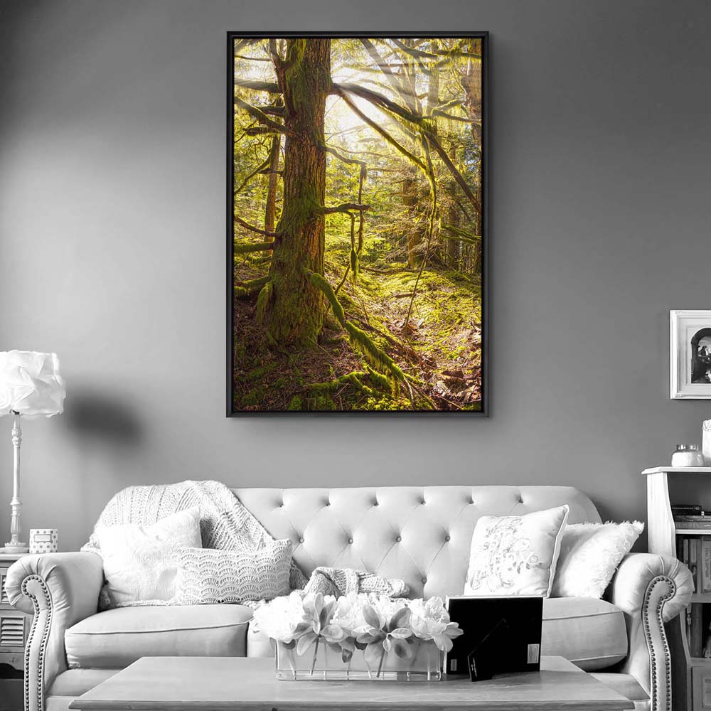 Wald Baum Sonnenhain im Hochformat 100x150cm mit schwarzen Bilderrahmen