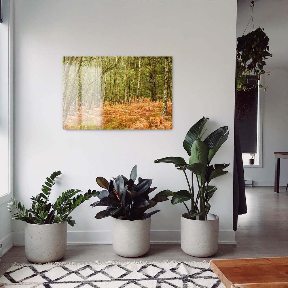 Panorama Acrylglasbild 180x90cm Wald & Bäume Farn im Herbst
