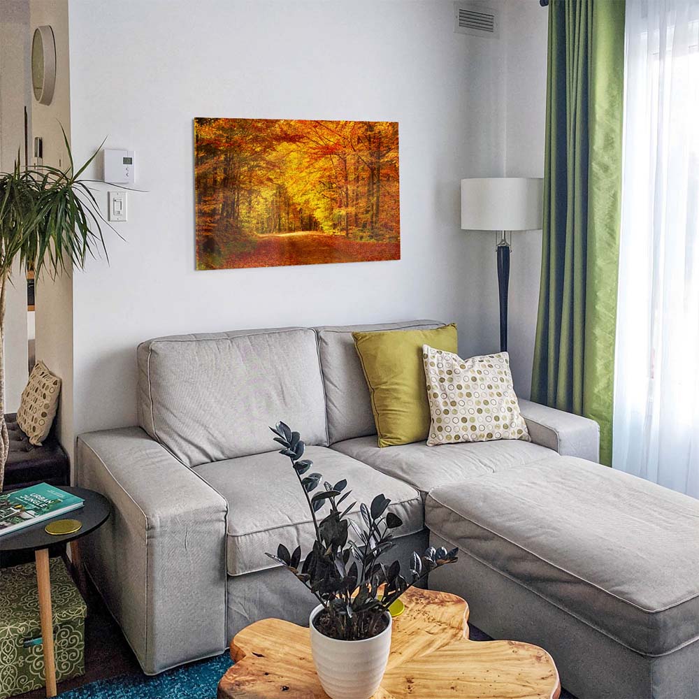 Panorama Acrylglasbild 180x90cm Wald & Bäume Goldener Waldweg