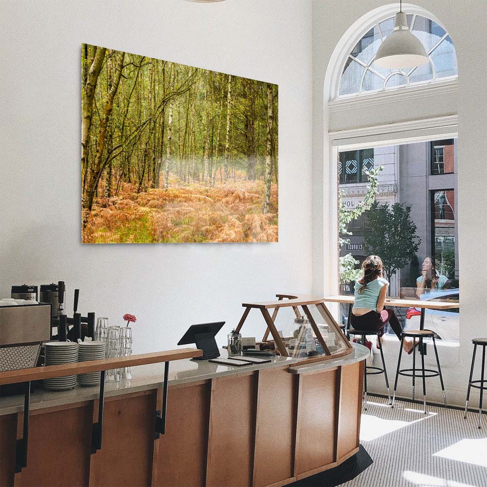 Panorama Acrylglasbild 180x90cm Wald & Bäume Farn im Herbst