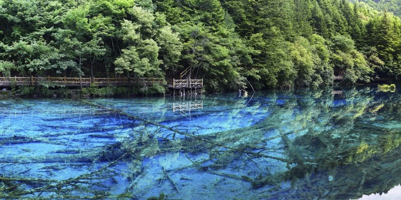 Flüsse & Seen China Jiuzhaigou  im schwarzen Bilderrahmen, 120x60cm
