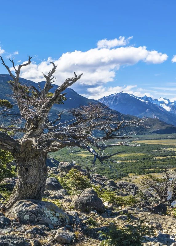 Poster 50x70cm Patagonien Flüsse Berge & Gebirge