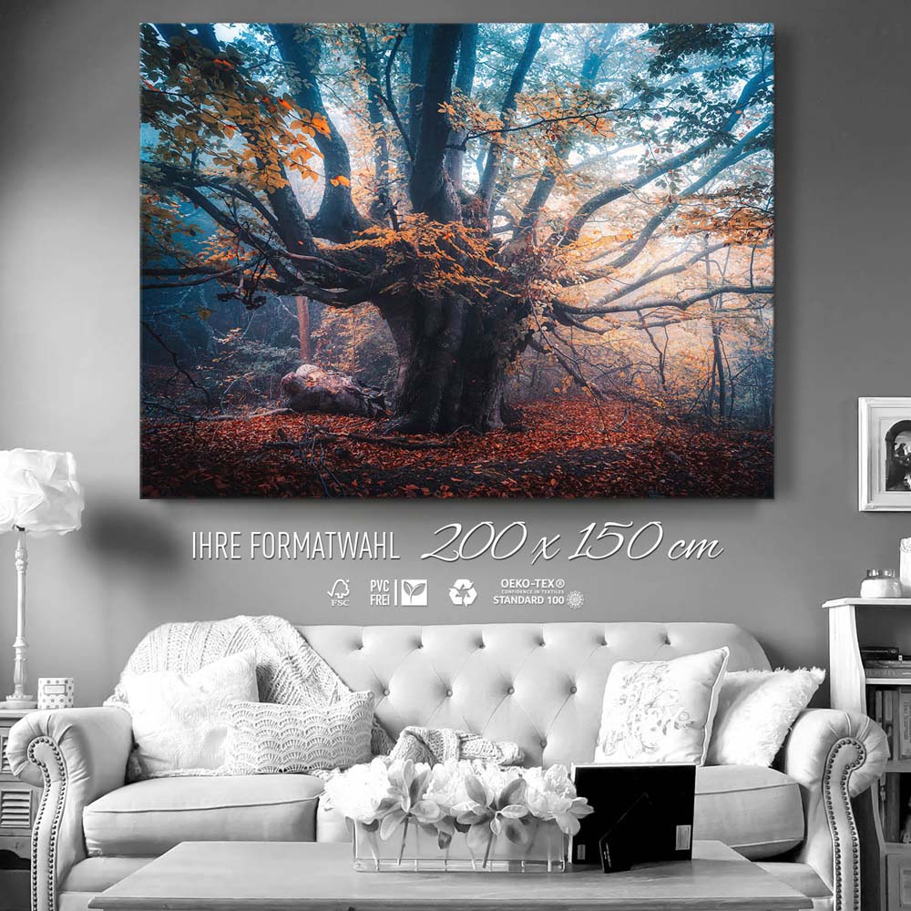 Baum Herbstbuche als Keilrahmenbild 200x150cm