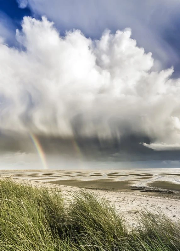 Poster 50x70cm Wattenmeer Nordsee Strand & Meer