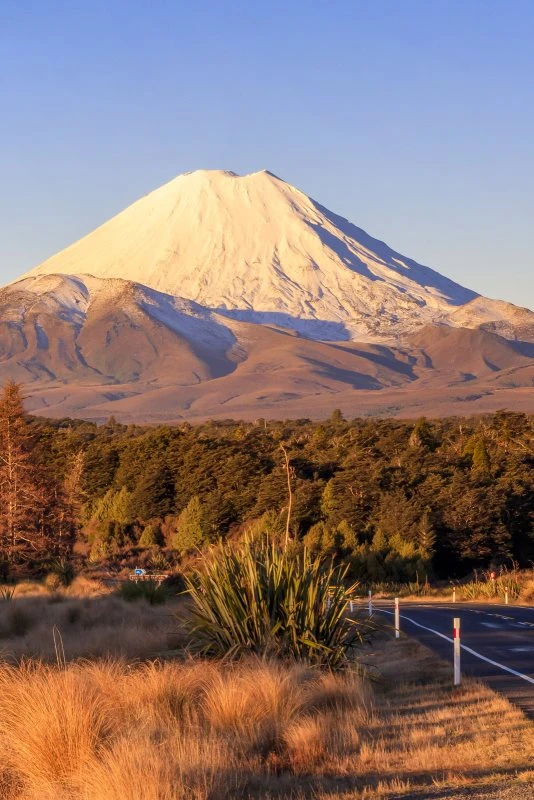 Poster 40x60cm im Hochformat, Vulkan Ngauruhoe Neuseeland Berge & Gebirge