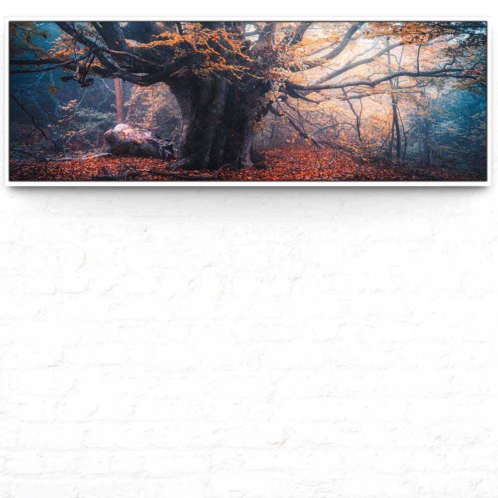 Baum Herbstbuche im weißen Bilderrahmen, 150x50cm