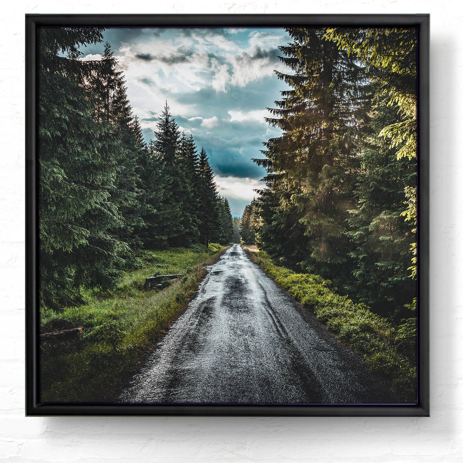 Wald & Bäume Tannenpfad im schwarzen Bilderrahmen, 80x80cm