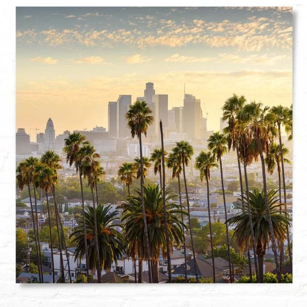WandPoster Skyline Los Angeles Palmen, 50x50cm