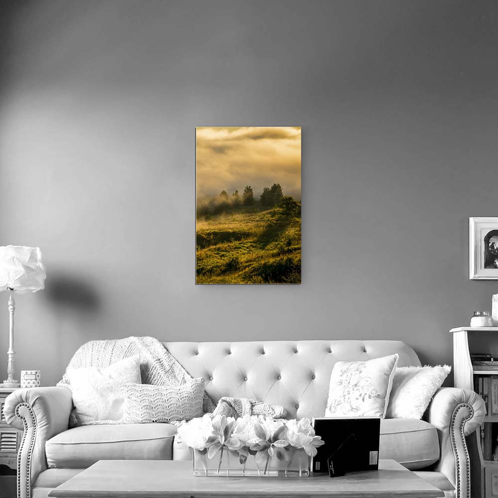 Alu-Dibond Bild im Hochformat, Wald Wiese Nebel am Morgen 60x90cm