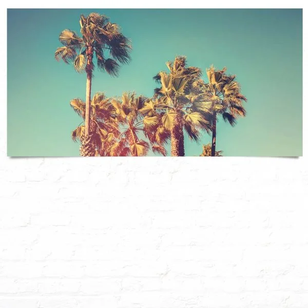 Kalifornien, USA Palmen retro look als Poster 120x60cm