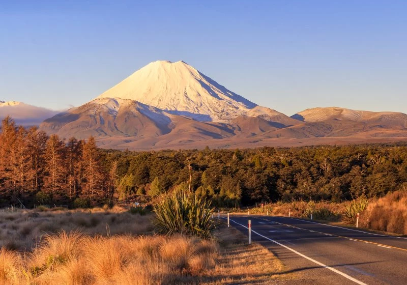 Vulkan Ngauruhoe Neuseeland