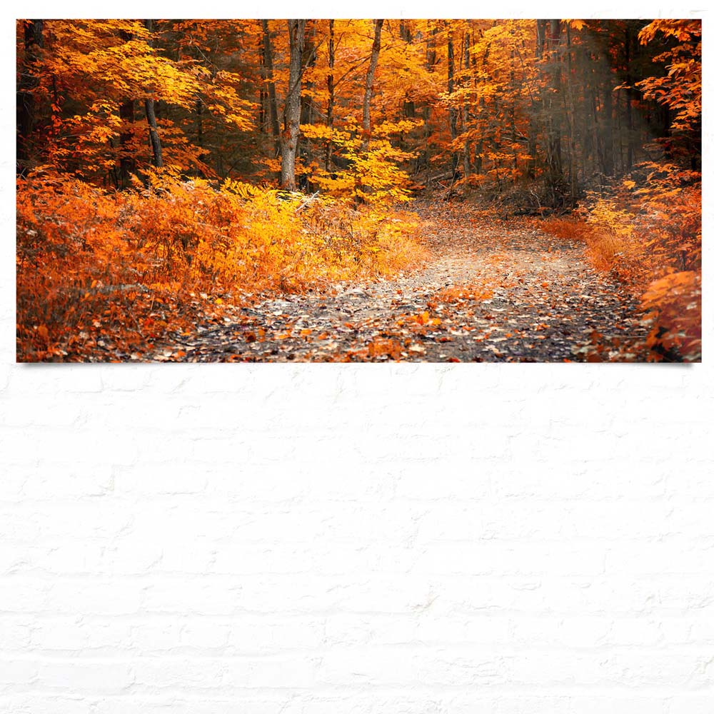 Großformat WandPoster Wald & Bäume Herbst Wanderung II, 180x90cm