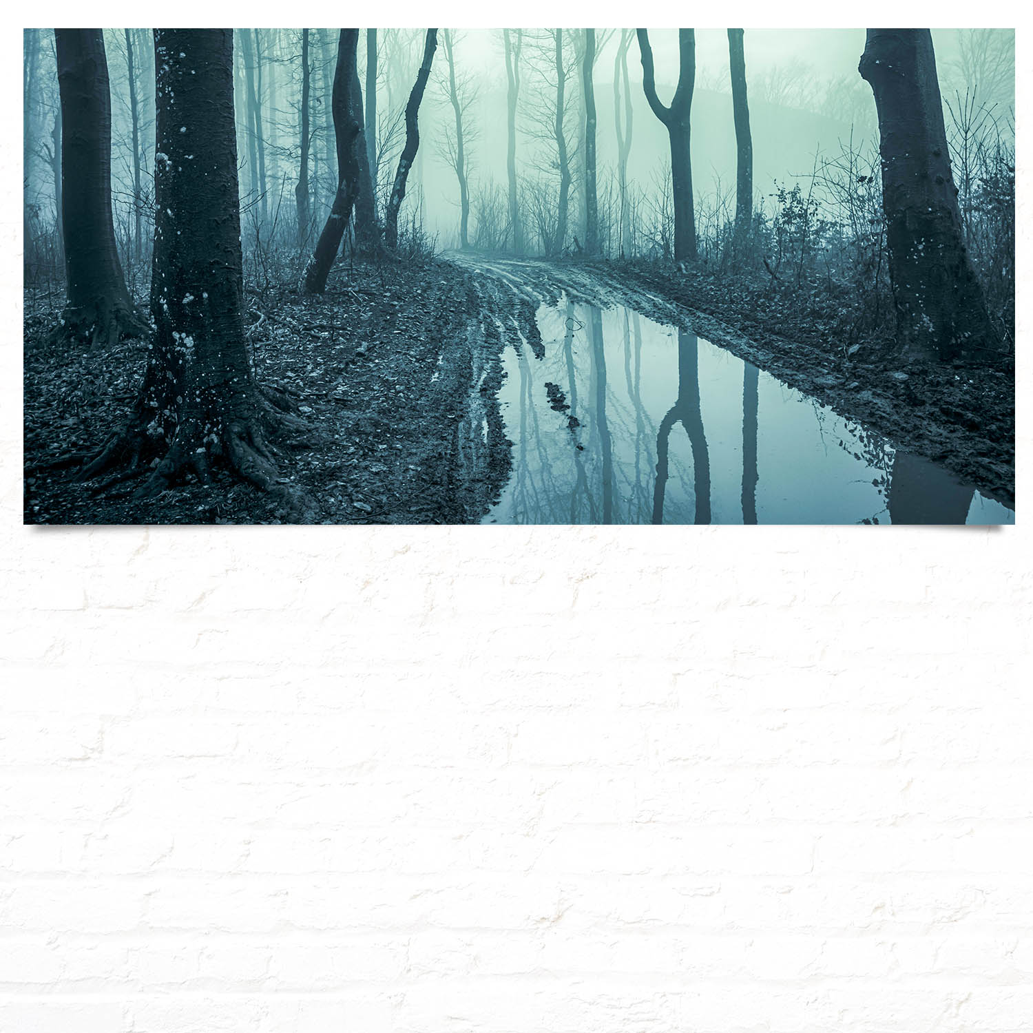  als Poster 120x60cm