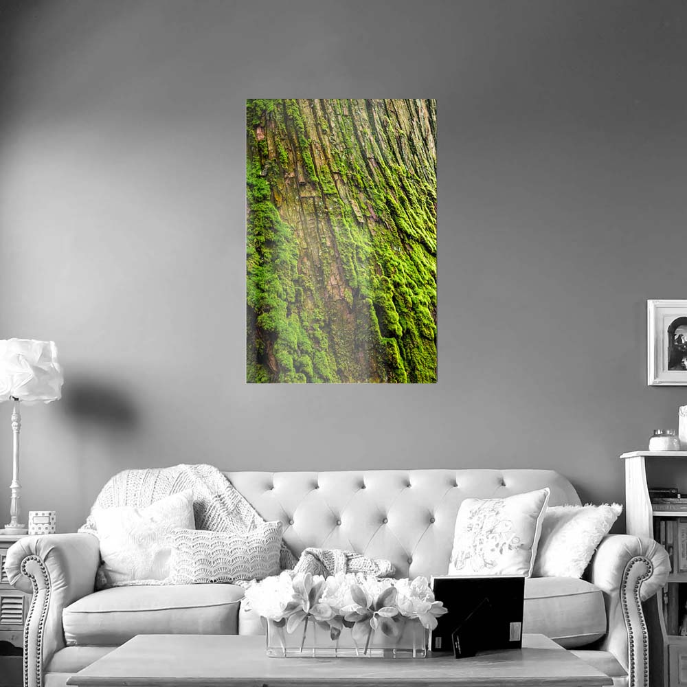80x120cm großes WandPoster Hochformat, Wald & Baum Moos
