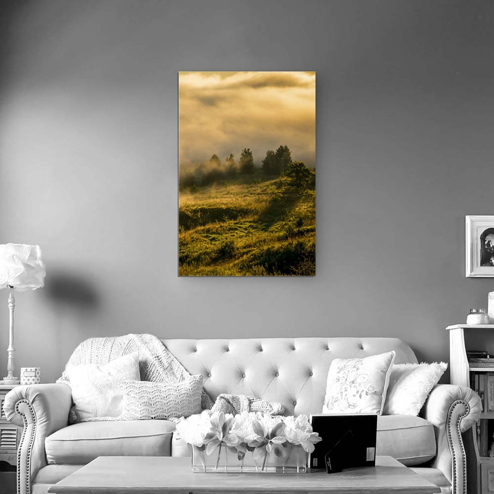 Alu-Dibond Bild im Hochformat, Wald Wiese Nebel am Morgen 80x120cm