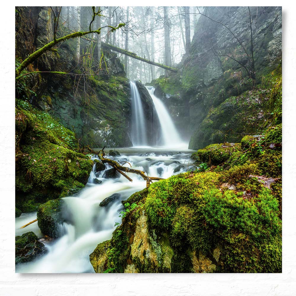 Poster 50x50cm Wasserfall im Schwarzwald Wald & Bäume
