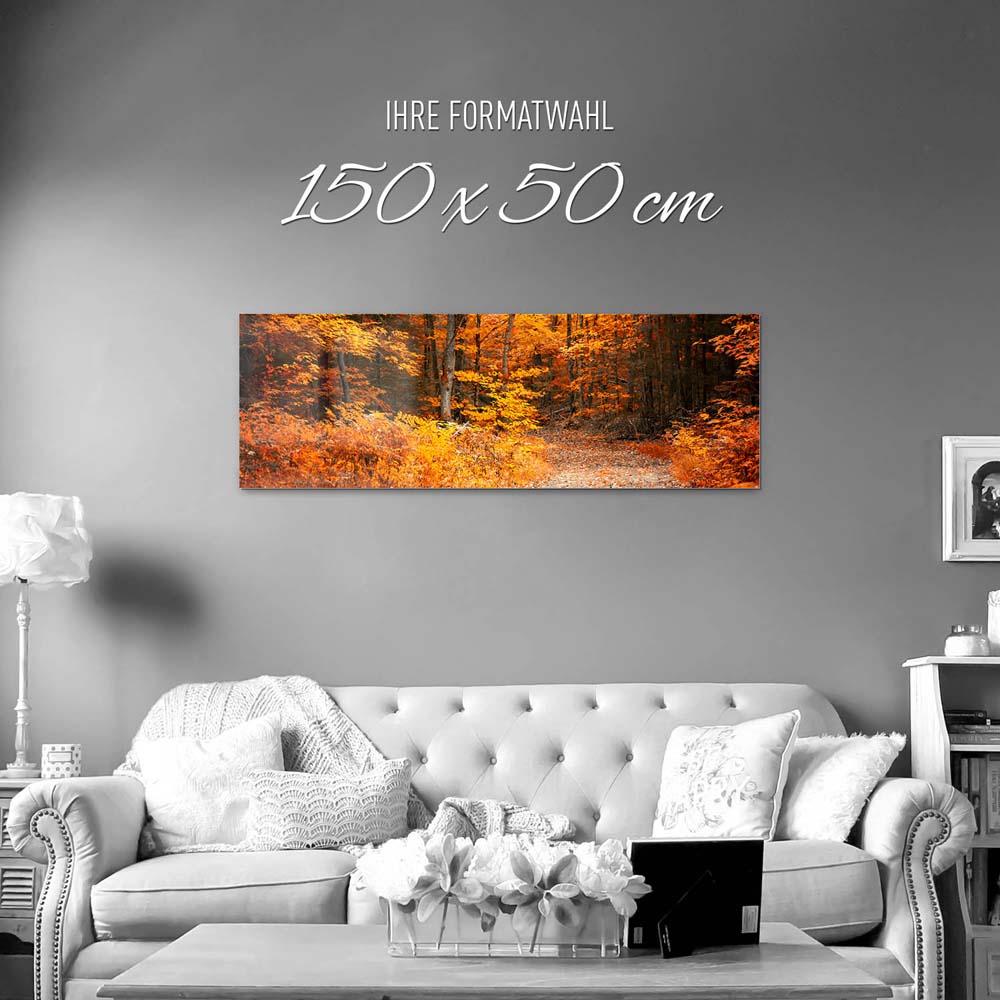 Wald & Bäume Herbst Wanderung II als Acrylglasverbund Bild 150x50cm