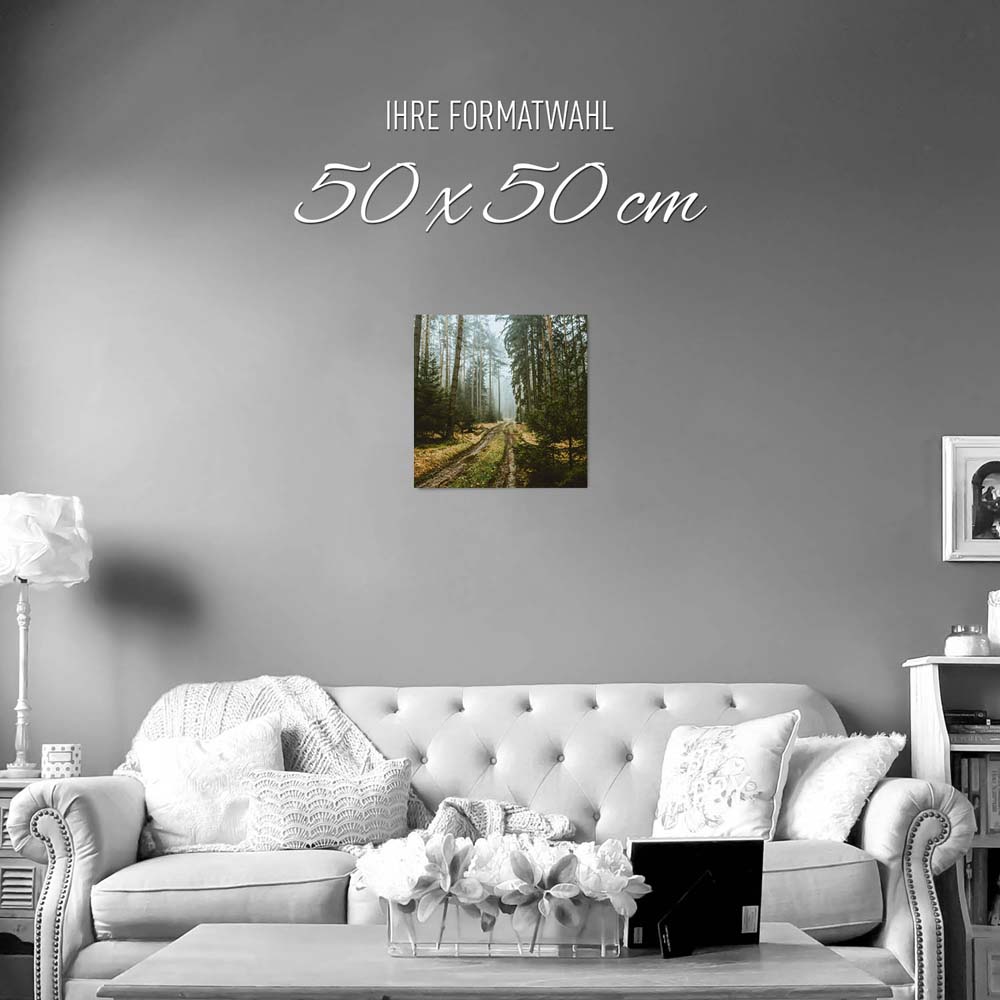 Poster 50x50cm Spaziergang Wald