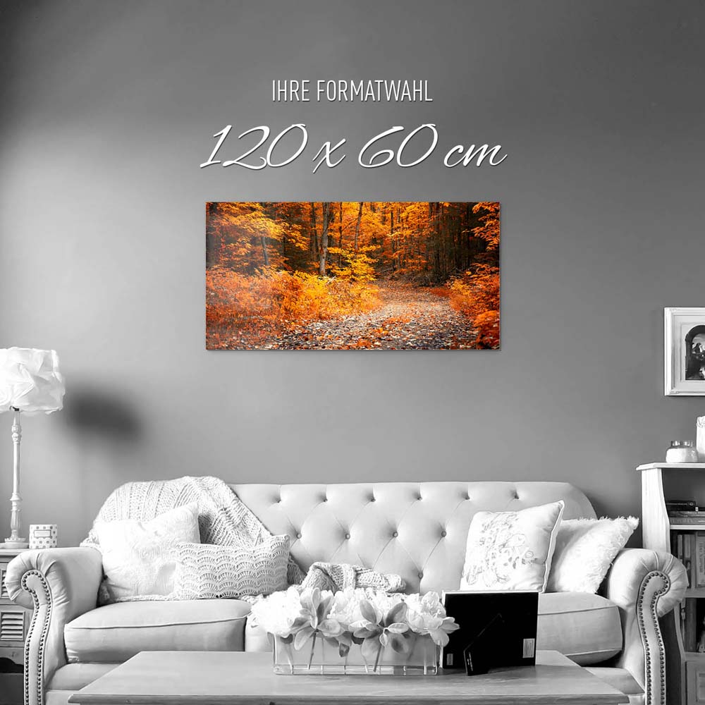 Wald & Bäume Herbst Wanderung II als Acrylglasverbund Bild 120x60cm